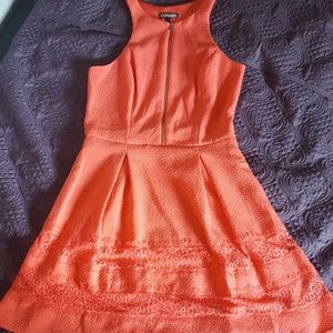 NWOT EXPRESS Coral Flare Dress