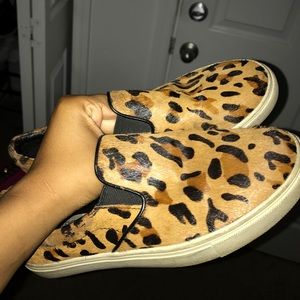 Leopard print Steve Madden Slides Leopard print Steve Madden Slides