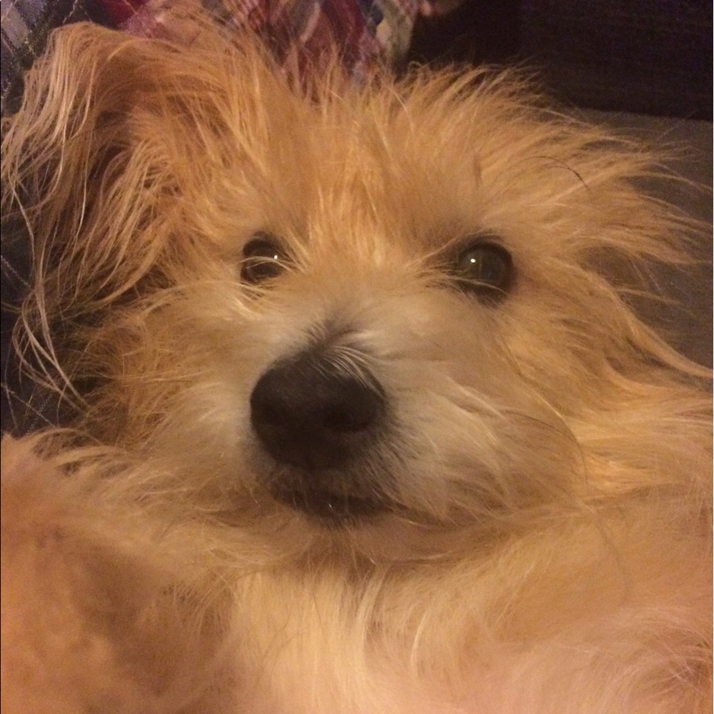 Meet your Posher, Cindy