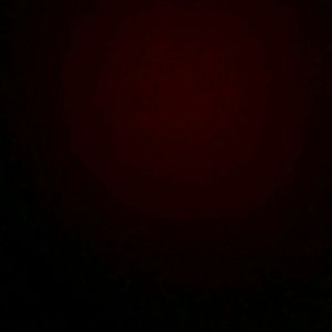 Meet your Posher, Evelyn