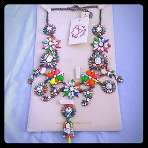 Amrita Multi coloured necklace .