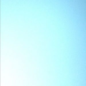 Meet your Posher, Yvette