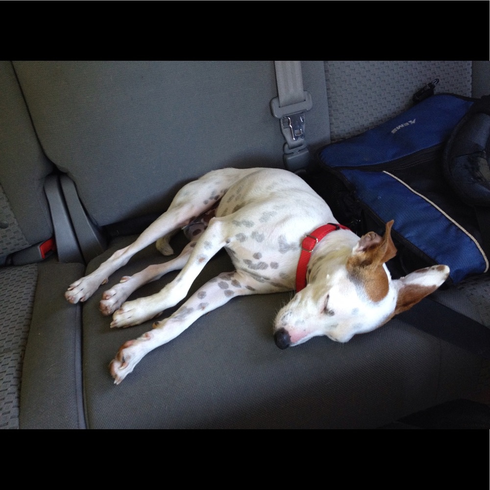 Meet your Posher, Nicole