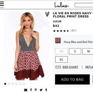 La Vie en Roses Lulus dress