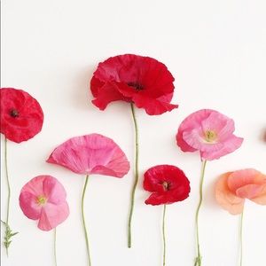 Meet your Posher, Flor