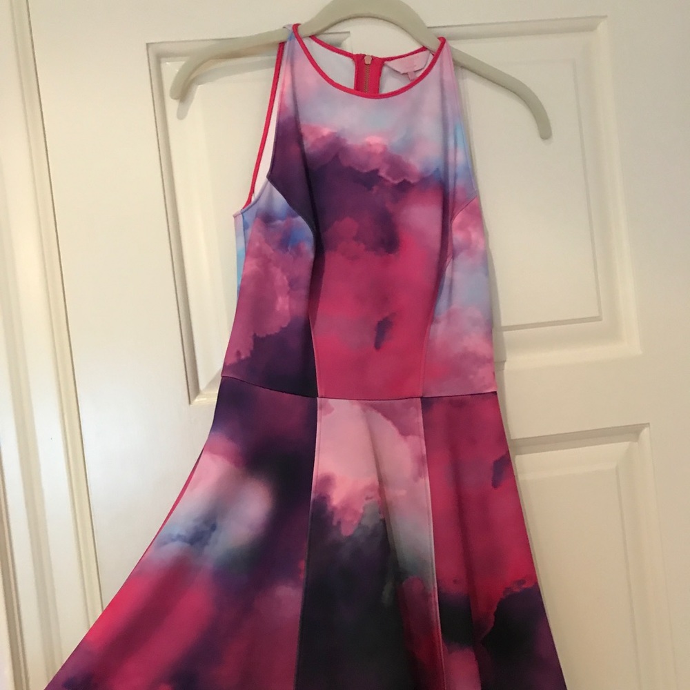 Ted Baker Multi Colored Skater Dress - Picture 4 of 4