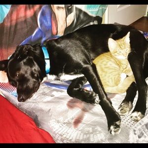 Meet your Posher, Hannah