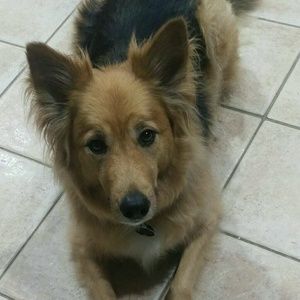 Meet your Posher, Gabby