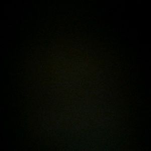 Meet your Posher, Gavin