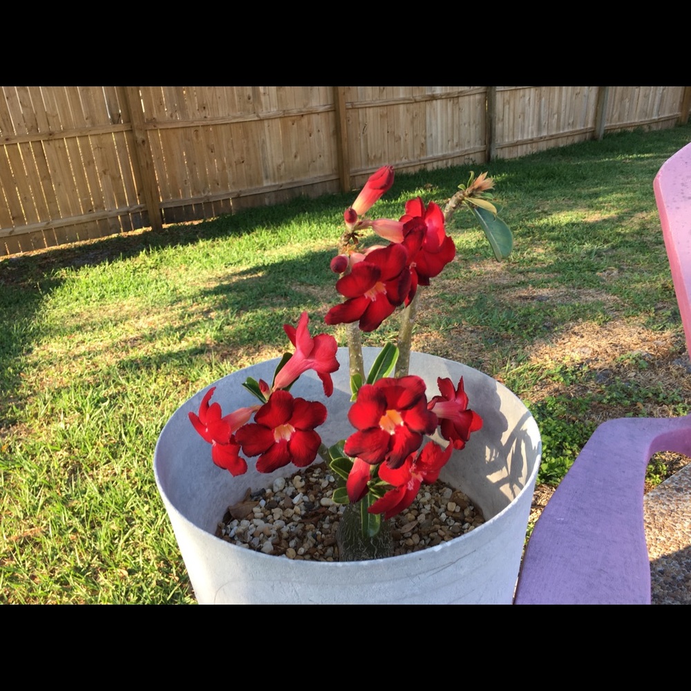 Meet your Posher, Rebecca