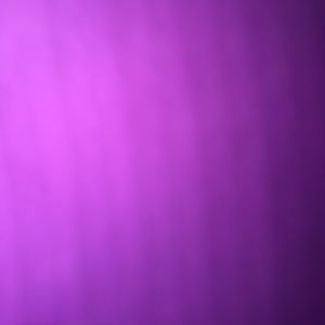 Meet your Posher, Lizbeth