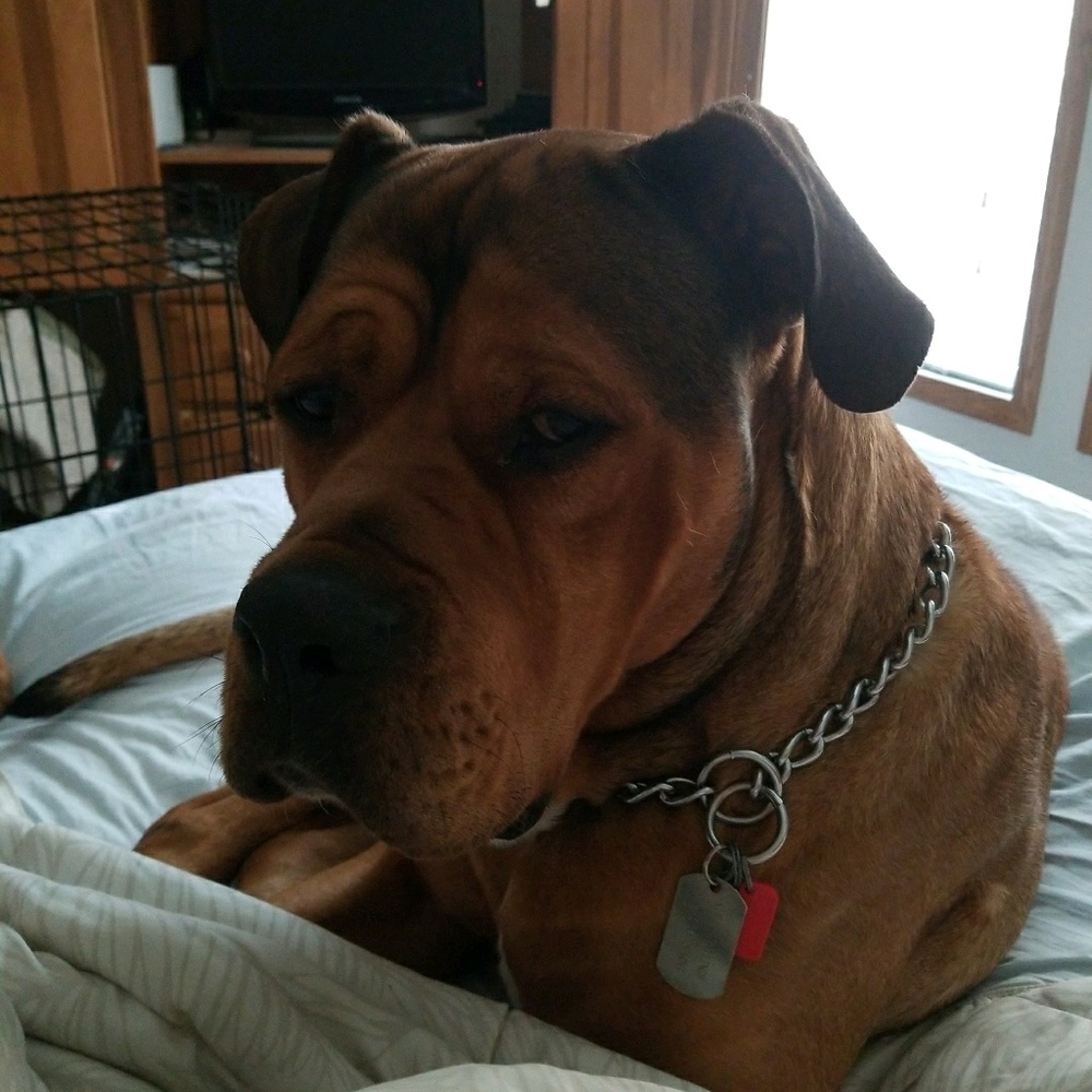 Meet your Posher, Jennifer