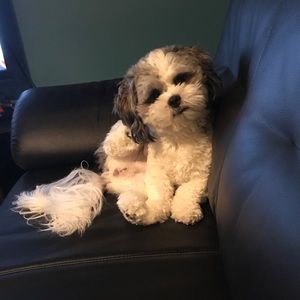 Meet your Posher, Ericka