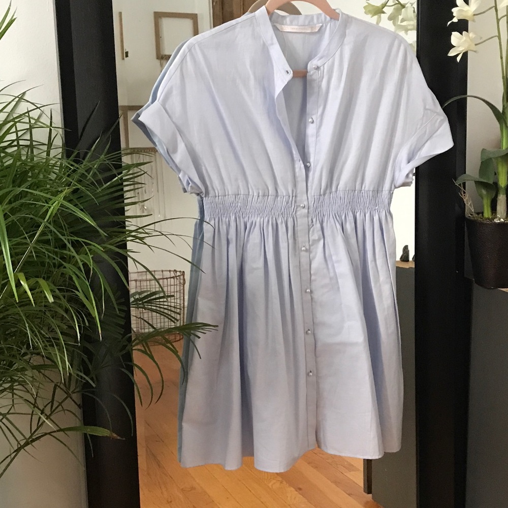 Zara dress