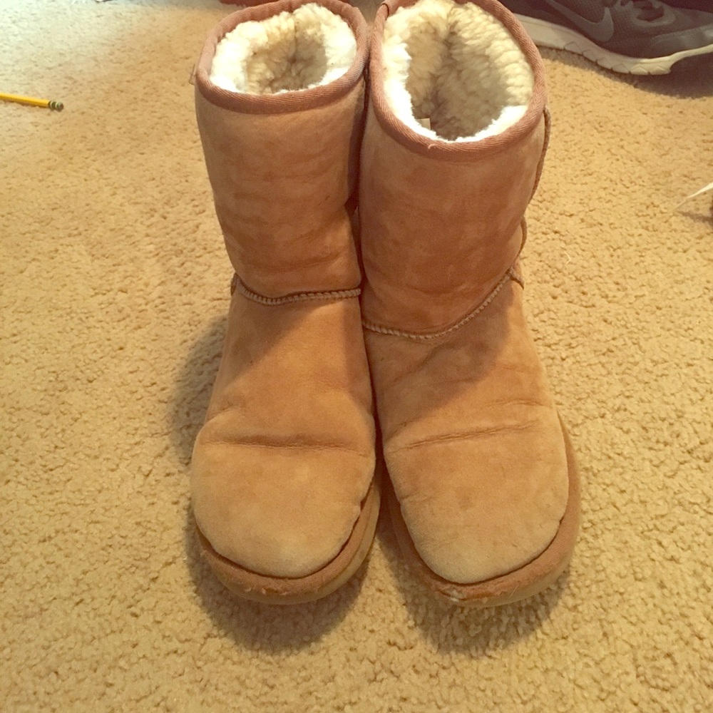 Chestnut short classic Ugg boots