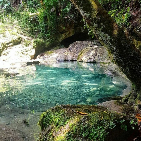 Meet your Posher, KingstonSvvim - Picture 4 of 4