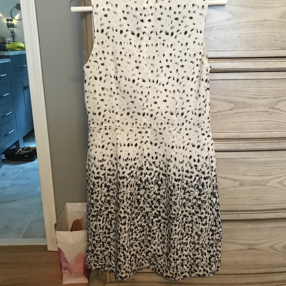 Loft black and white dress