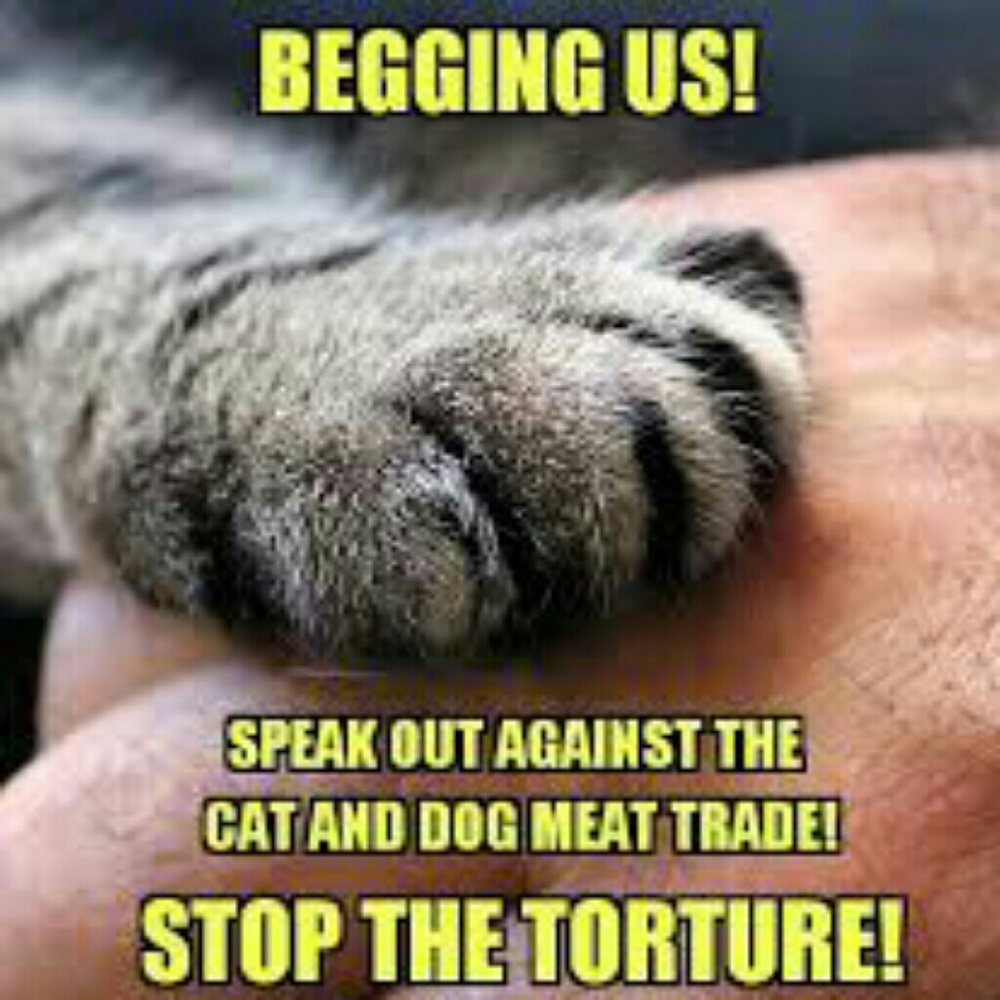 🙏Animal Compassion🙏