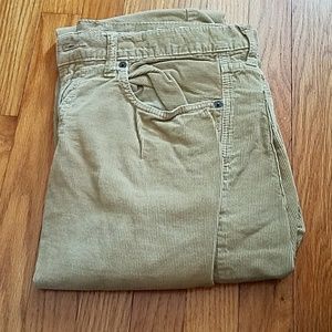 American Eagle Courduroys Orgunal Straight