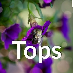 Tops