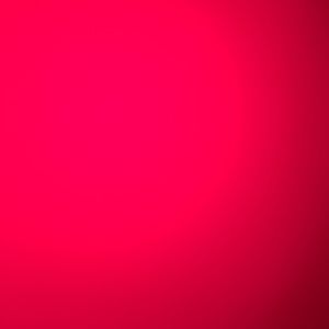 Meet your Posher, Leonard