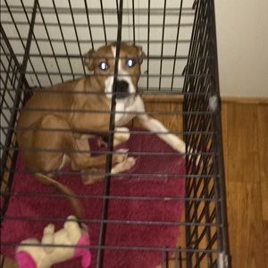 Meet your Posher, Tim