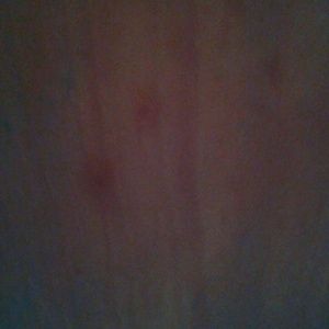 Meet your Posher, Donovan