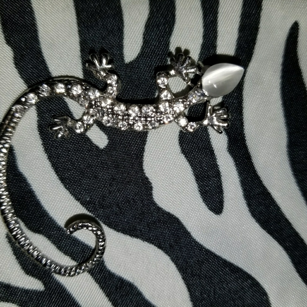 One earring lizard