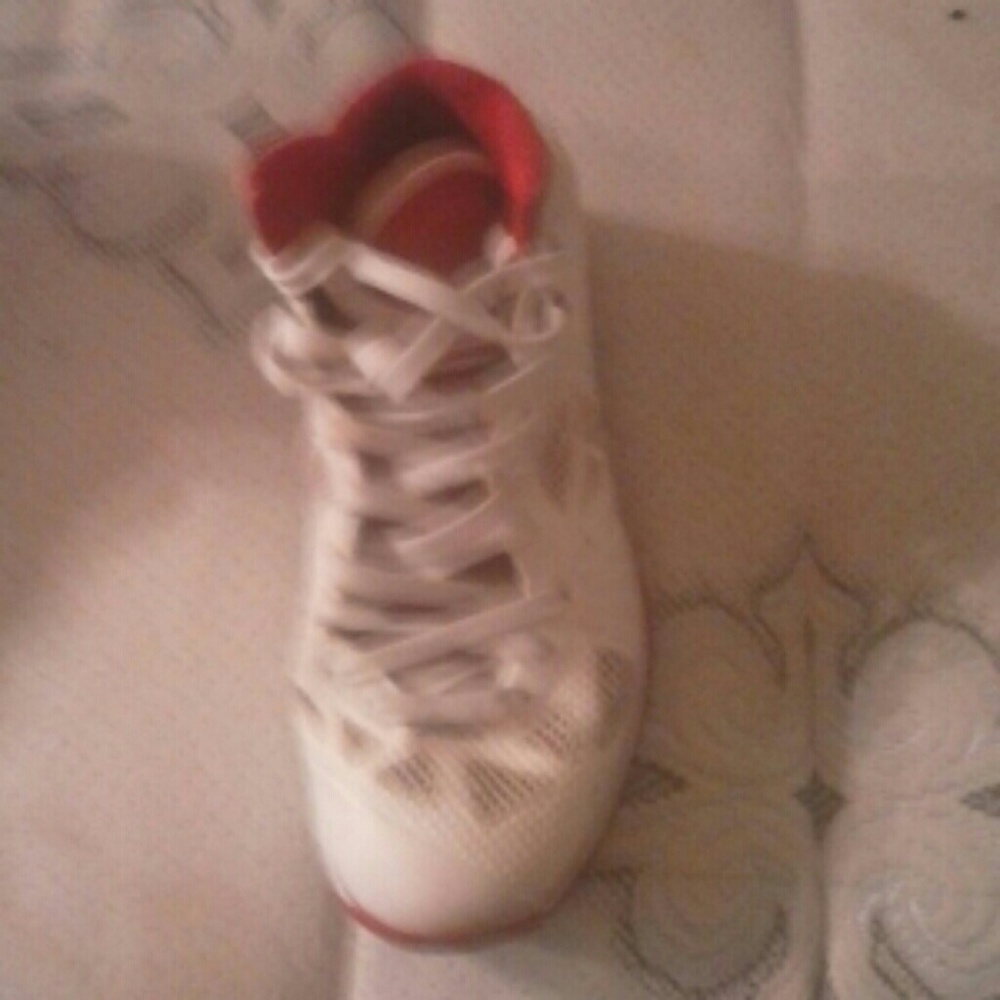 Nike Lebron Basketball shoes