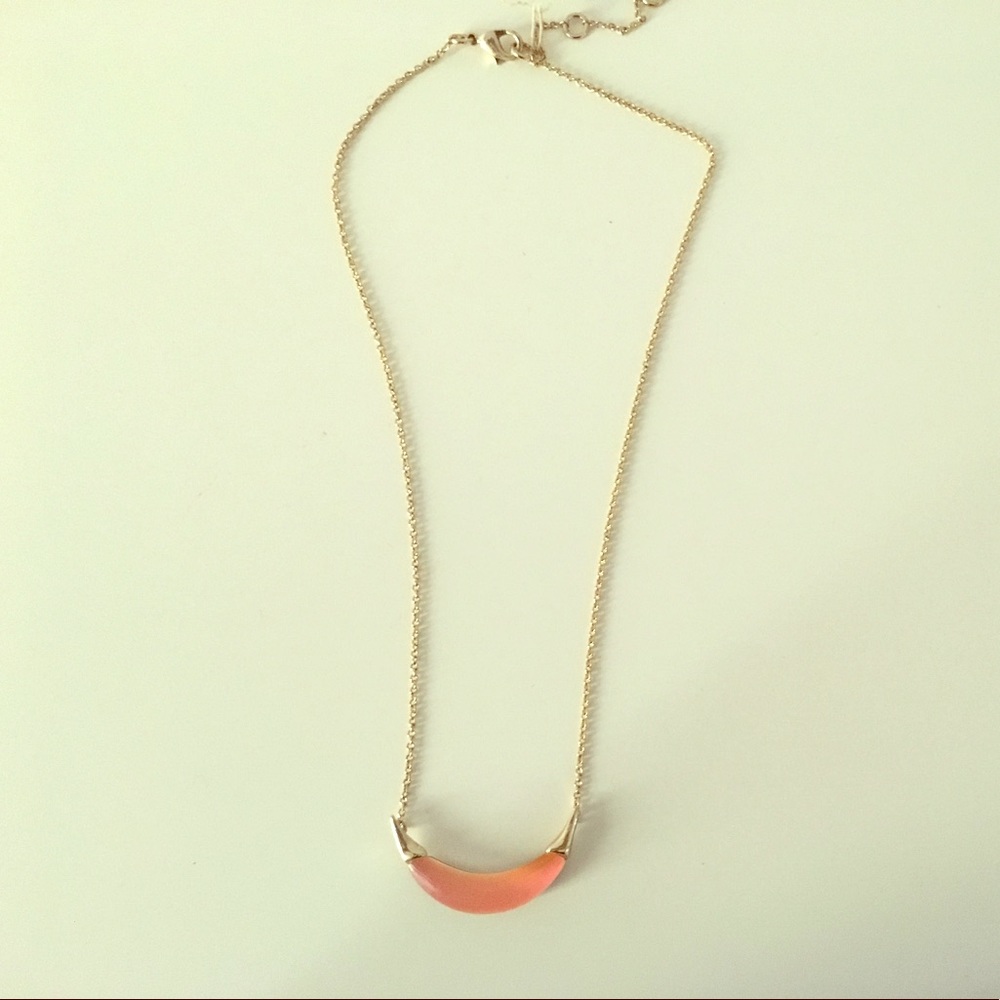 Alexis Bittar Necklace