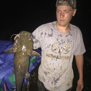 Meet your Posher, Cody