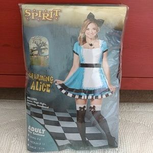 Charming Alice / Alice in wonderland costume
