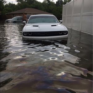 Meet your Posher, Billy