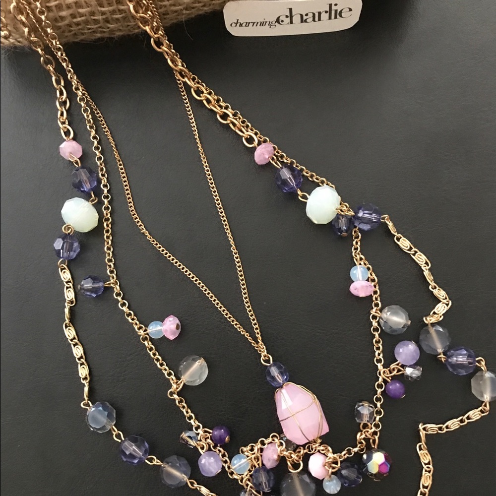 Charming Charlie Necklace NWOT