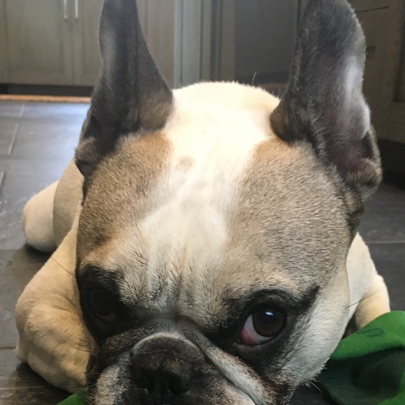 Meet your Posher, Deb - Picture 2 of 3