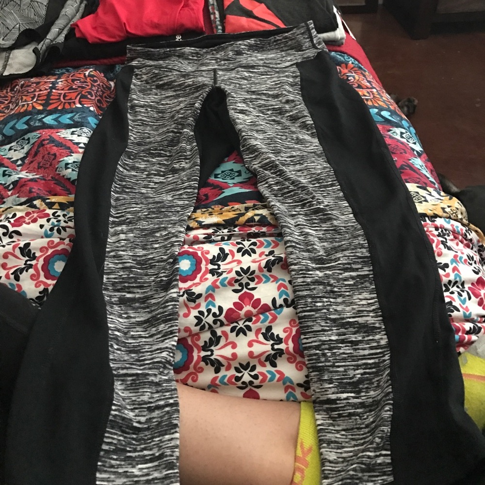 CAbi workout crops