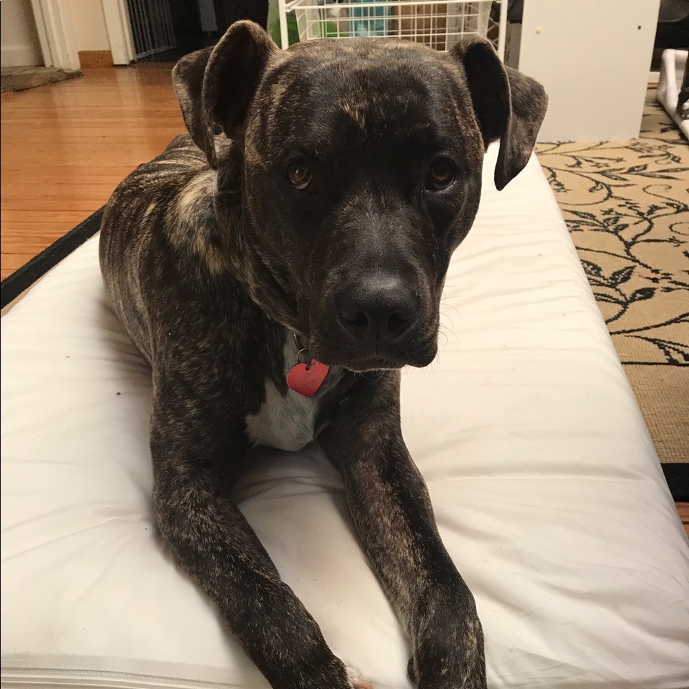 Meet your Posher, Kristen