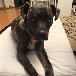 Meet your Posher, Kristen