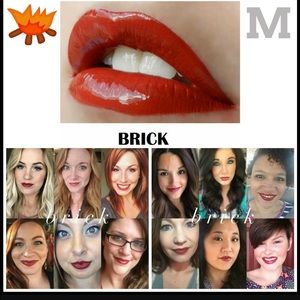 Lipsense Brick Kit