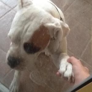 Meet your Posher, Adrian