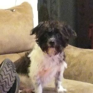 Meet your Posher, Marco