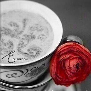 Meet your Posher, Rasha