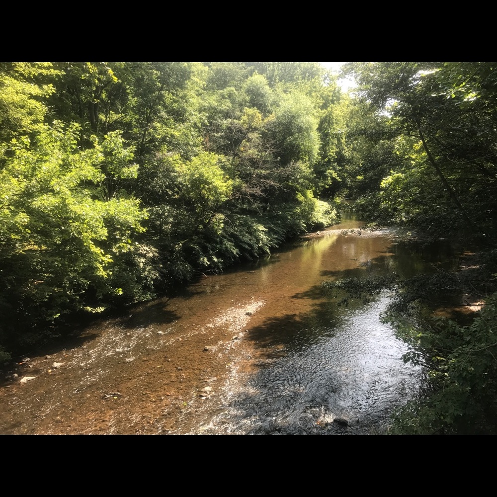 Meet your Posher, Fernanda