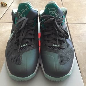 Lebron 9 low (Easter edition)