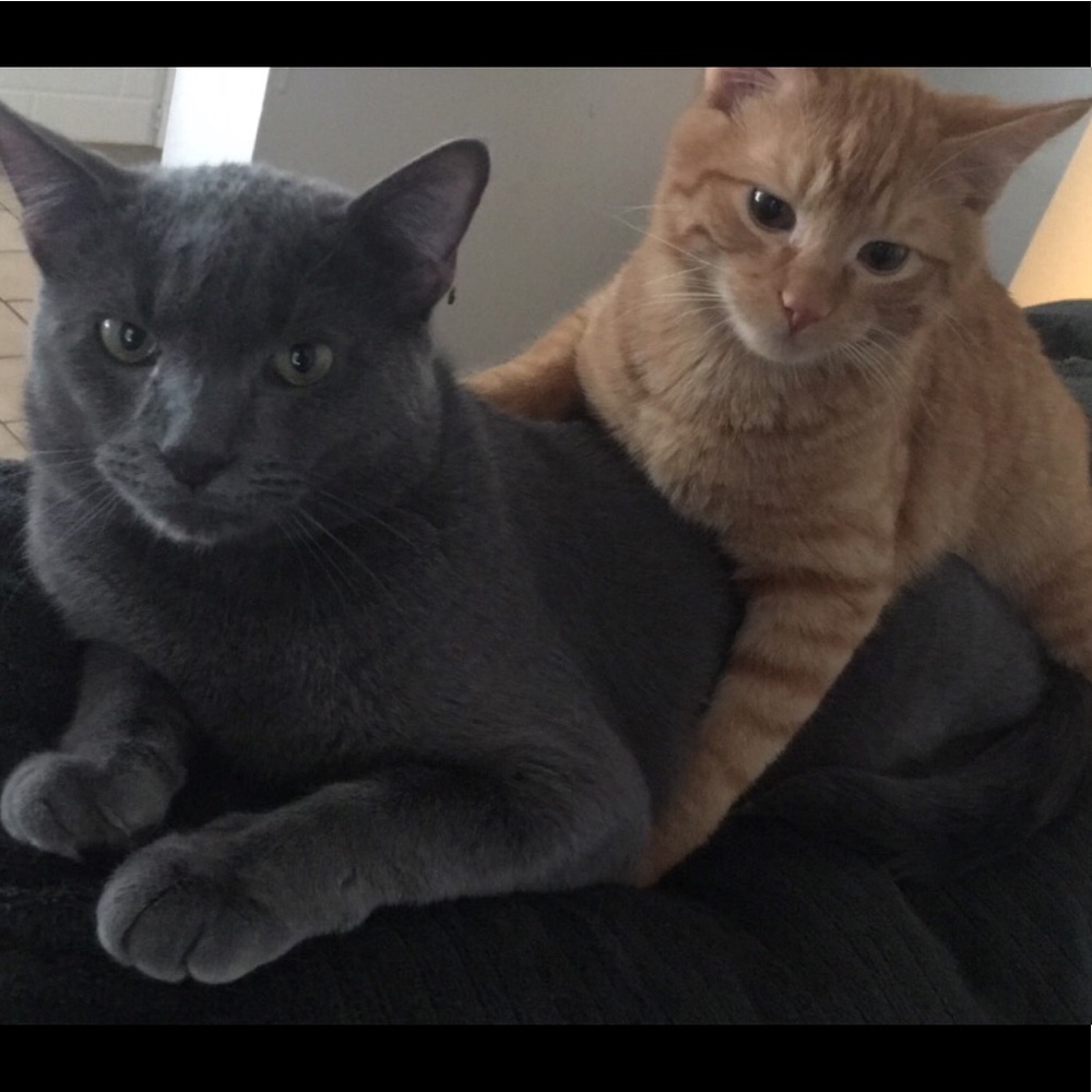 Meet your Posher, Maria