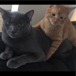 Meet your Posher, Maria