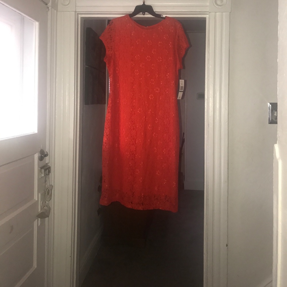 Sharagano Valencia Orange Seasons dress
