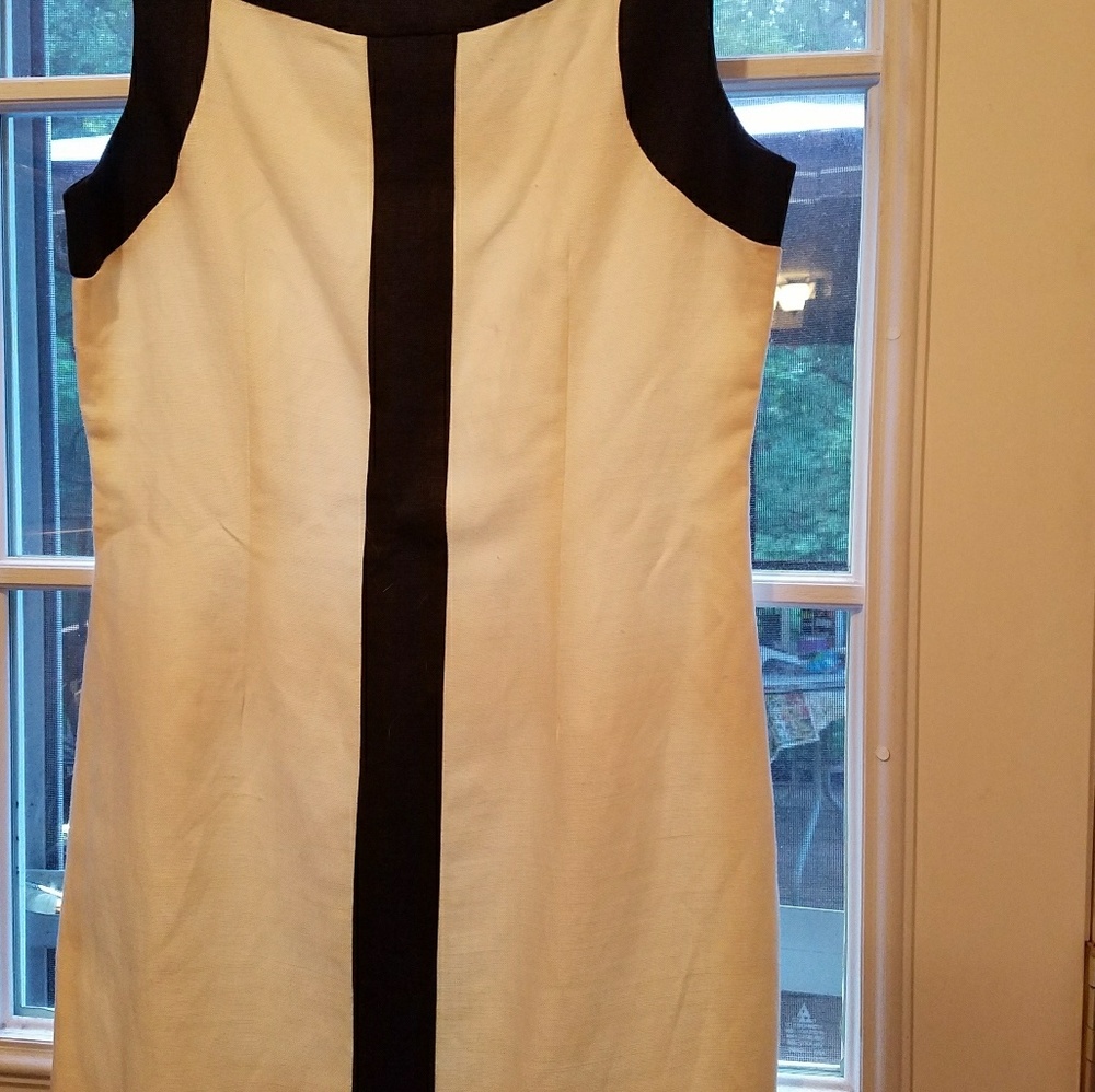 AnnTaylor petite dress
