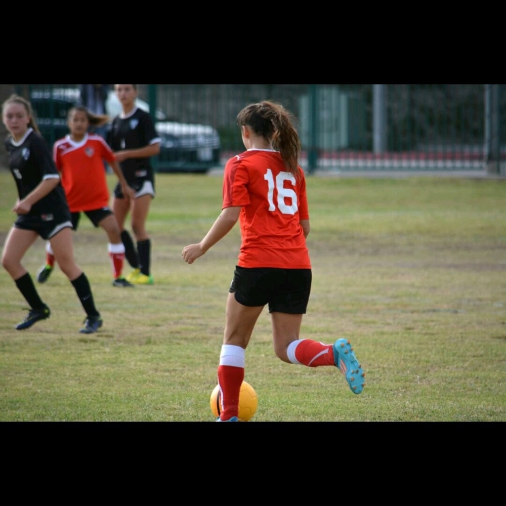 Meet your Posher, Paige