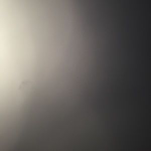 Meet your Posher, Rob